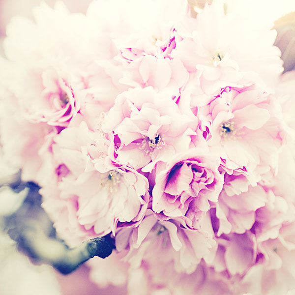 FLOWERS FOR HER